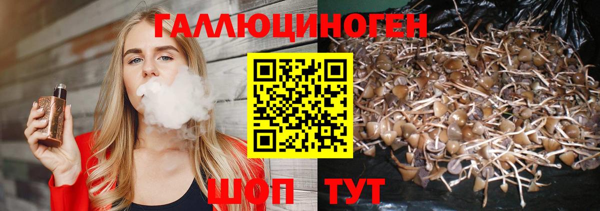 магазин  наркотиков  Вход с VPN  Улан-Удэ  Псилоцибиновые грибы мицелий  Псилоцибиновые грибы ЛСД 